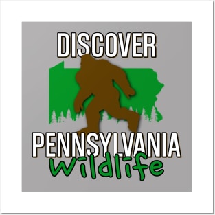 Discover Pennsylvania Wildlife Posters and Art